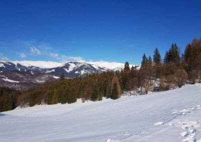 Okolie Dedečkovej chaty - zima