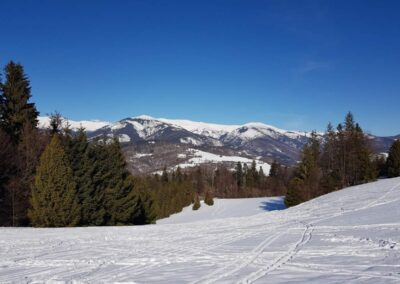 Okolie Dedečkovej chaty - zima